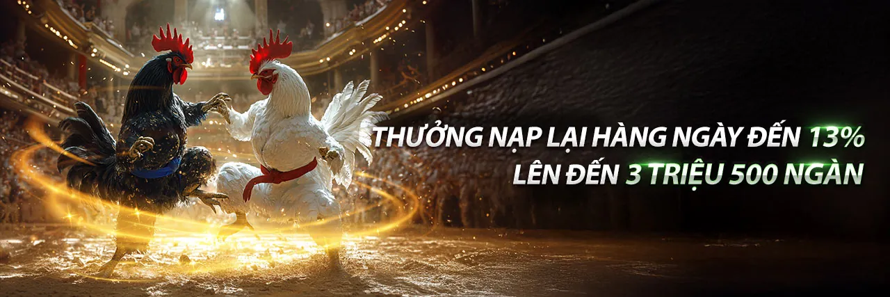 Đá Gà Trực Tuyến Sôi Động tại b888 Link Mới
